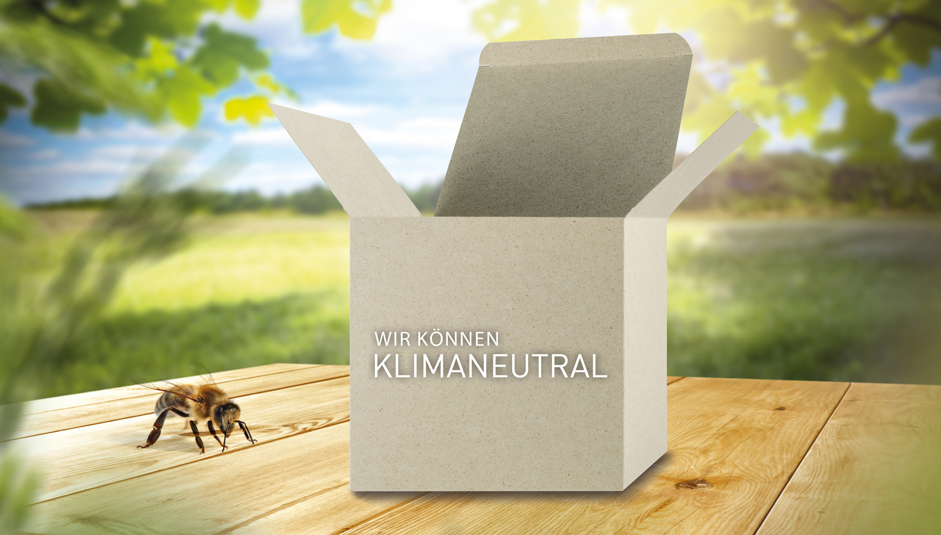 Cosack-Druck-Verpackungen-Graskarton-Klimaneutral